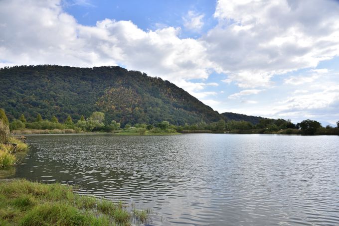 ���ӂ̖쒹�ώ@�X�|�b�g