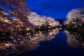 ̂ނقǂ̔!x̐ʂɋPuv̖̋LTlC