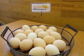 ���؂�K���̃X�C�[�c�����܂��I����E��R�[�u�����{�v�̓T�N�T�N�V���[���l�C�̋L���T���l�C��