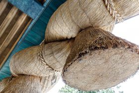 䑽Ñ㌚zЁEuo_Ёv̋LTlC