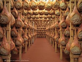 C^Aōn̐Yn TE_jG[unՂv̋LTlC