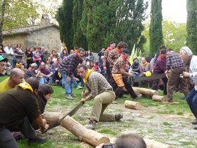 gXJ[ȉHՂIuLmRƌI̍ՂvƁu؂̃pIv̋LTlC