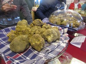 11͔gtIsTߍxTE~jA[g̃gtՂ̋LTlC