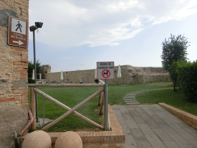 ���ۂɏ�ǂ�����Ă݂܂��傤�I