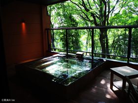 大人の極上宿「箱根強羅温泉 月の泉」で“見上げれば裏もみじ”に浸る