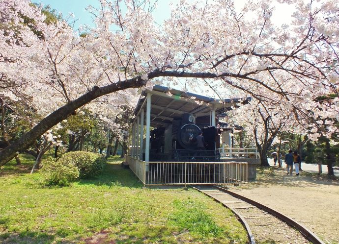 巨大自動万華鏡のある徳島市一の絶景 眉山と城壁の桜 徳島県 Lineトラベルjp 旅行ガイド