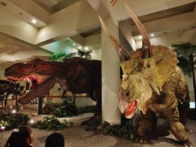 �����̂��񂿂ƍ��Ȃ������ԃA�j����!?�`���Q�������Ȋw�����ف`