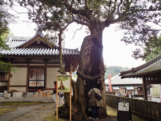 鬼滅の刃 聖地 大分 八幡竈門神社 と竈門一族墓所 大分県 Lineトラベルjp 旅行ガイド