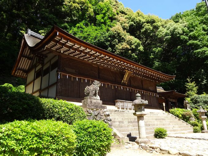 拝殿と日本最古の本殿は国宝指定で必見スポット