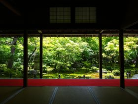 まるで名作絵画！京都「圓光寺」で美しすぎる額縁庭園を満喫しよう