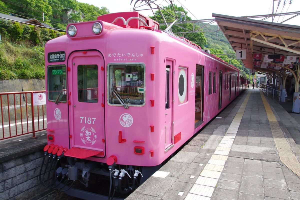 こりゃめでたい めでたいでんしゃ でゆく和歌山市 加太めぐり 和歌山県 Lineトラベルjp 旅行ガイド