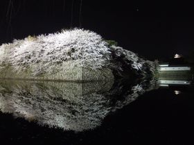 ߑoIFƂЂɂɉɍs̋LTlC