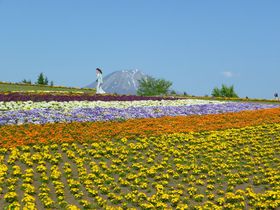 日本最大級の植物園！春の「とっとり花回廊」へ行こう