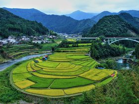 日本の棚田百選「あらぎ島」も！和歌山・有田川町の絶景スポット