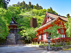 秘仏・談峰如意輪観音像の公開も！奈良・新緑の「談山神社」