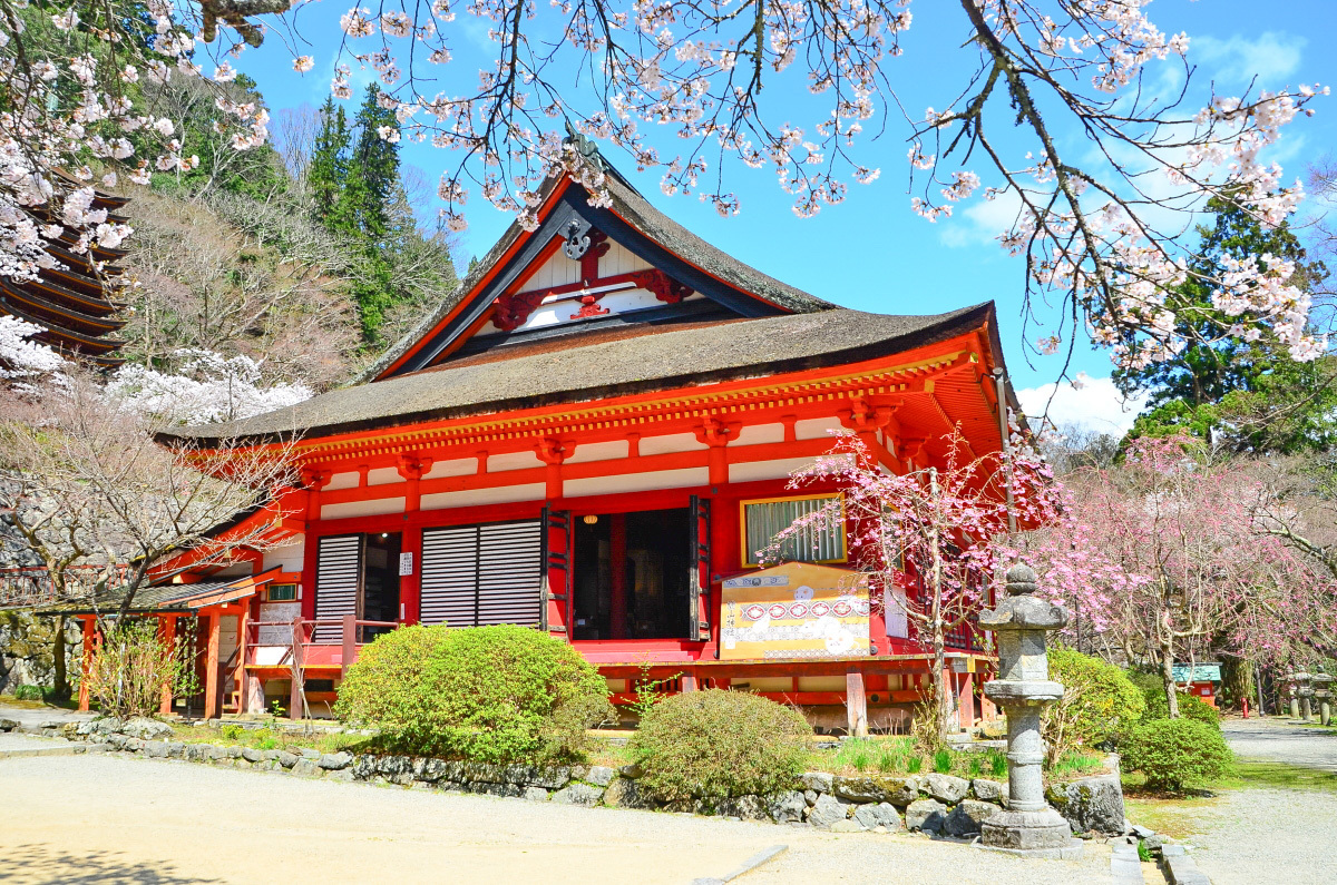 紅葉だけじゃない 奈良 談山神社 は桜や紫陽花も美しい 奈良県 トラベルjp 旅行ガイド