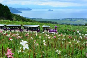 EV́uт킱َR艀v250ւ̂ƒ]𖞋i̋LTlC