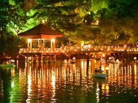奈良公園のキャンドルイベント「なら燈花会」で真夏の夜を満喫！