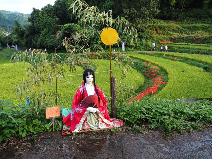 奈良 明日香村で かかしコンテスト と 彼岸花祭り を楽しもう 奈良県 トラベルjp 旅行ガイド