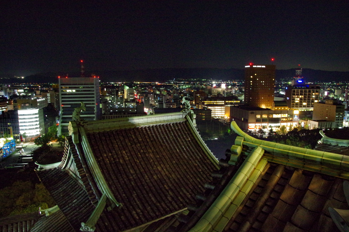 和歌山城天守閣からの夜景を楽しもう