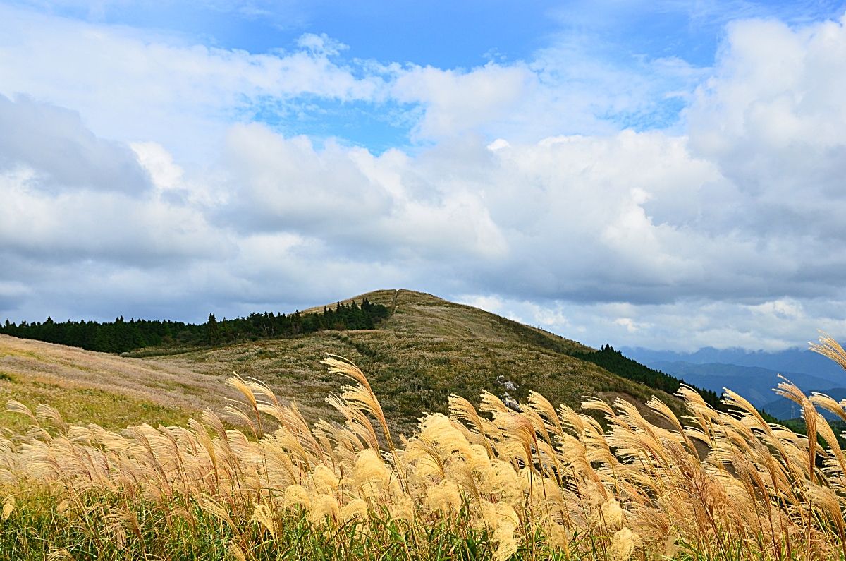 ススキの大海原 和歌山 生石高原 で夕日と星空を楽しもう 和歌山県 トラベルjp 旅行ガイド