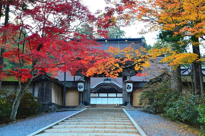 1�D�a�̎R���Ăǂ�ȂƂ���H