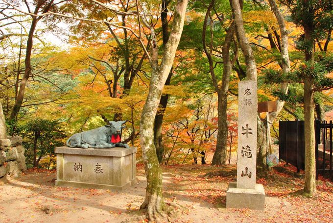 大阪 泉州一の紅葉の名所 渓流めぐりも楽しい 牛滝山大威徳寺 大阪府 Lineトラベルjp 旅行ガイド