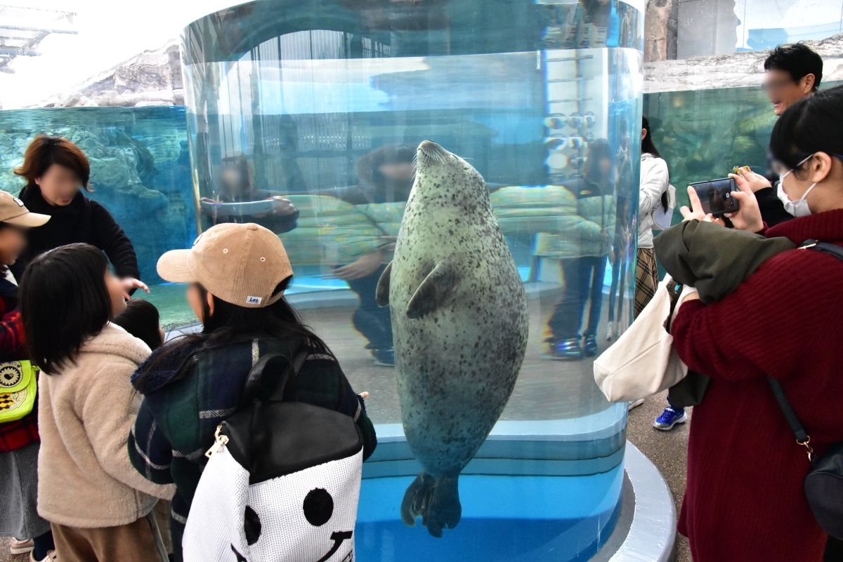 京都市内にある本格的水族館 京都水族館 みどころ5選 京都府 トラベルjp 旅行ガイド