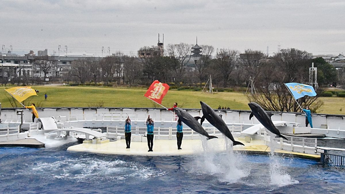 京都市内にある本格的水族館 京都水族館 みどころ5選 京都府 トラベルjp 旅行ガイド