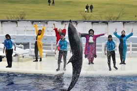 �q�ǂ��ƈꏏ�ɋ��s���I�e�q�Ŋy���߂�1��2�����f���R�[�X�̋L���T���l�C��