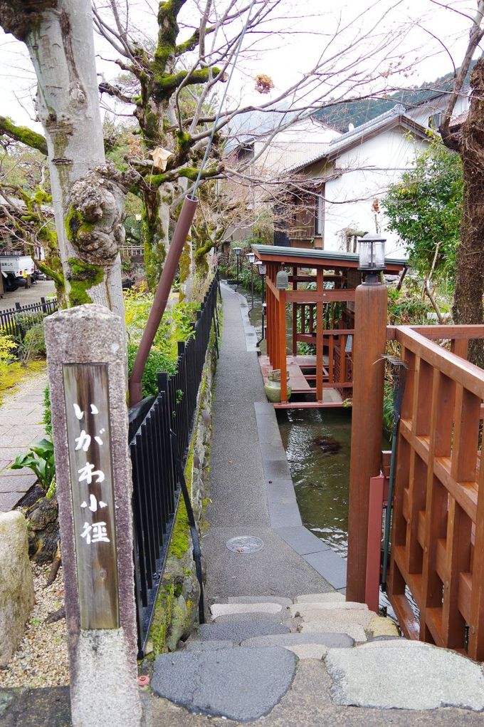 ���Е����Ă݂����u�����포�a�v