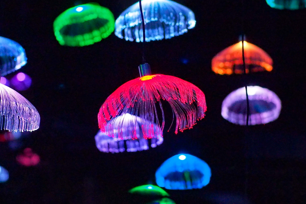 ܂Ń}gbNXINQԁu[ČÓsv