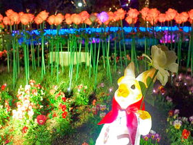 旅うさぎと光の国！大阪府立花の文化園「はなぶんサンクスイルミ」