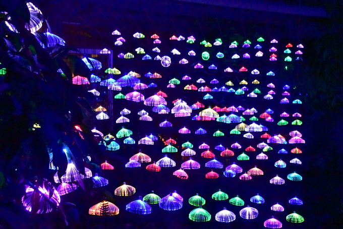 ܂Ń}gbNXINQԁu[ČÓsv