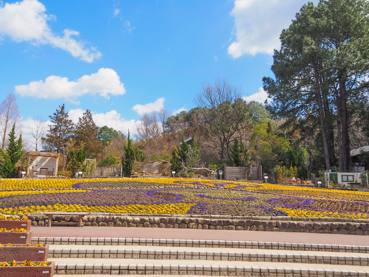 旅うさぎと光の国 大阪府立花の文化園 はなぶんサンクスイルミ 大阪府 トラベルjp 旅行ガイド