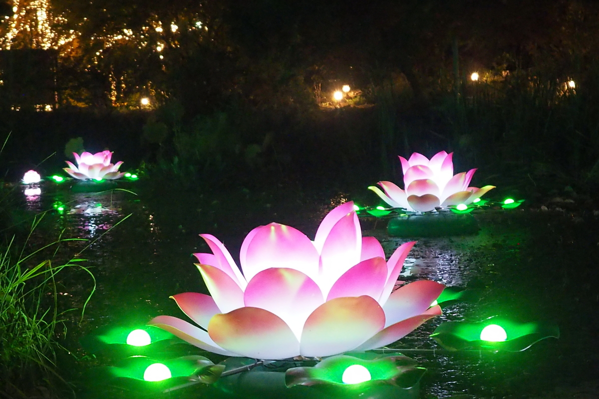 uS[f[hvŊӂ́uƂ΁v`悤