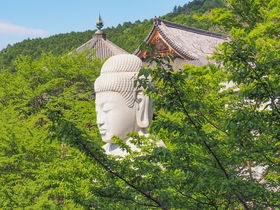初夏限定の“新緑大仏”も！奈良・壷阪寺の特別拝観でご縁を結ぼう