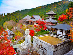 奈良・高取町「壷阪寺」で紅葉と秋の特別拝観でご縁を結ぼう！