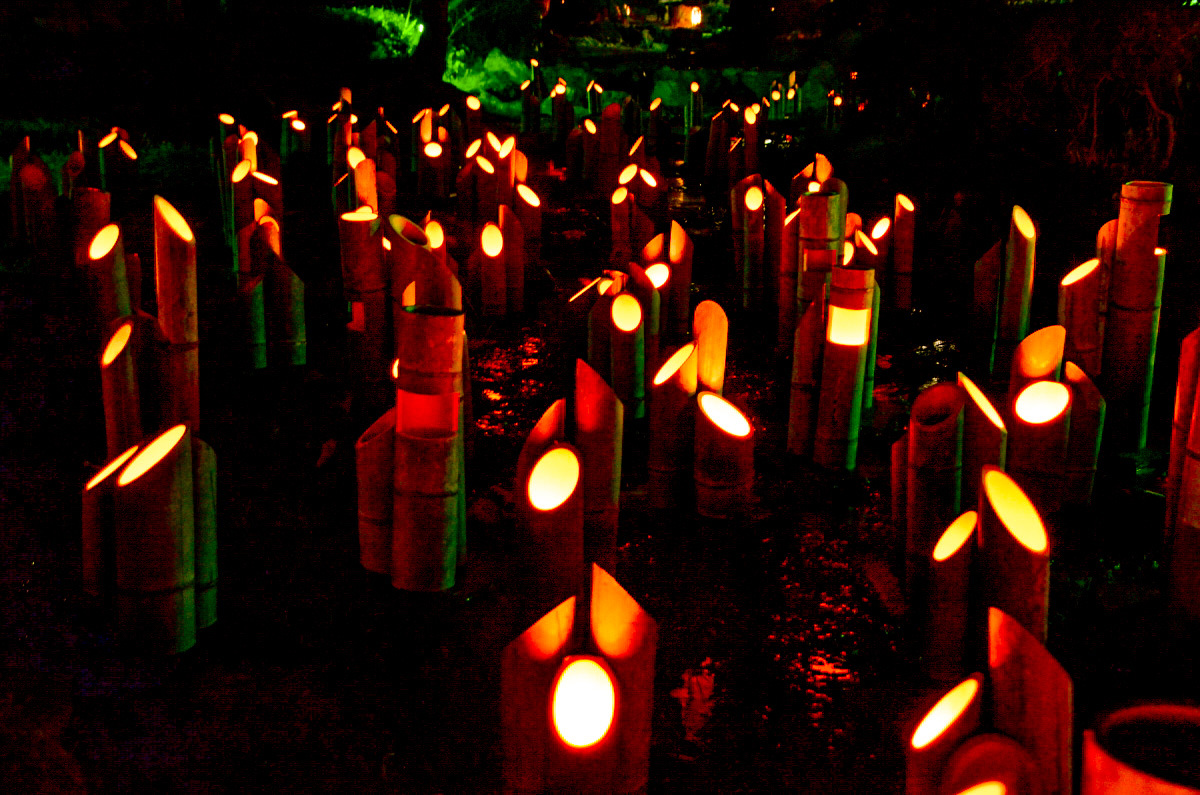 「円山公園」では「現代いけばな展」と「竹灯り幽玄の川」が