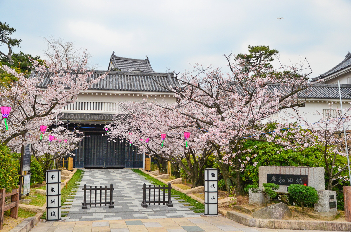 春爛漫 大阪 泉州の桜の名所 岸和田城 お城まつり に行こう 大阪府 トラベルjp 旅行ガイド