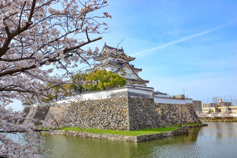 春爛漫！大阪・泉州の桜の名所“岸和田城”「お城まつり」に行こう