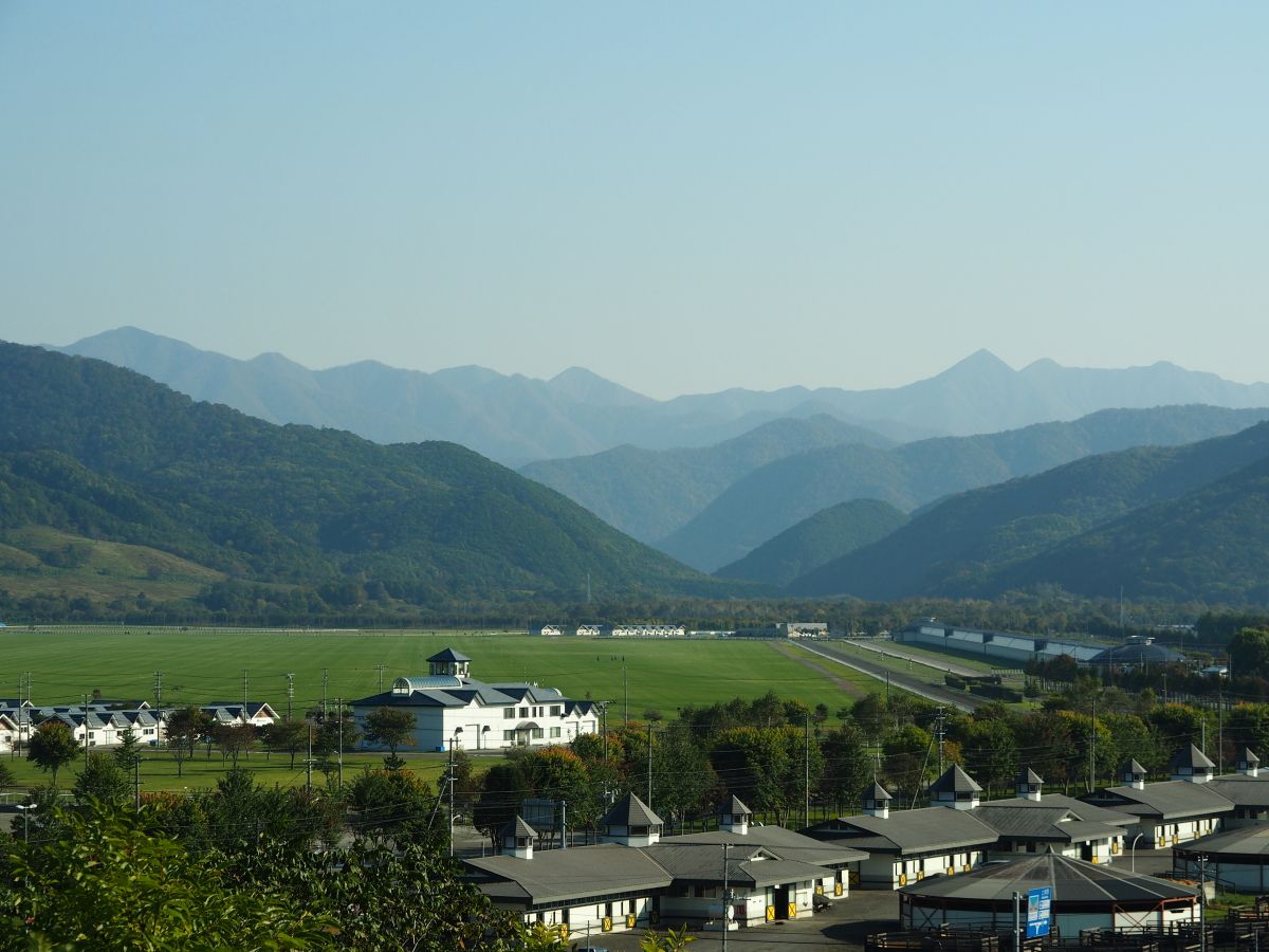 h[320̑傫ւuiq`琬qv