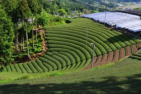 ̋sEau߂v^TCNŖiI̋LTlC