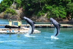 a̎Run̔فvŃNWƂ́gӂꂠ̌h̋LTlC