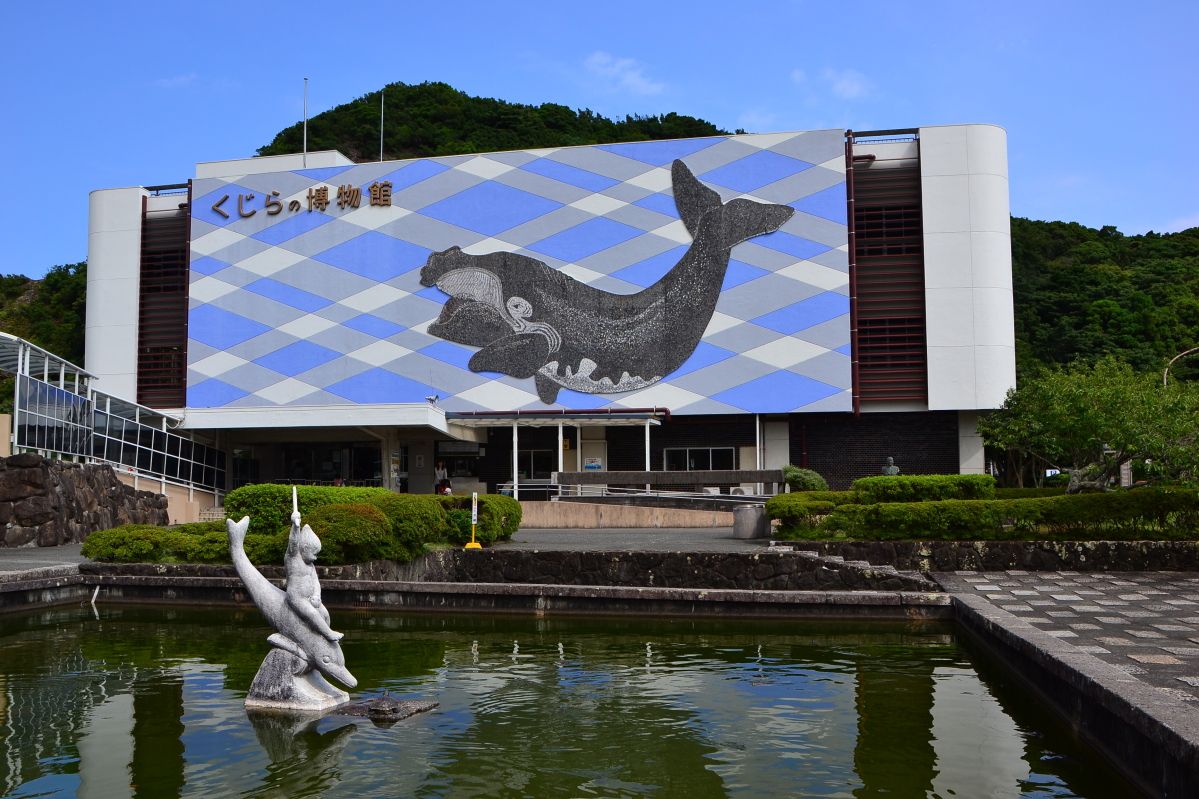 和歌山県 太地町立くじらの博物館 でクジラとの ふれあい体験 和歌山県 Lineトラベルjp 旅行ガイド
