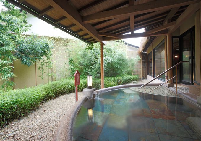 �嗁��u����t���ܔT���v�͖؂̉����肪�Y�����򂩂�����