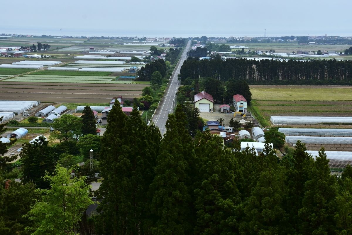 �d���W�]�䂩��̑�p�m���}�͕K��