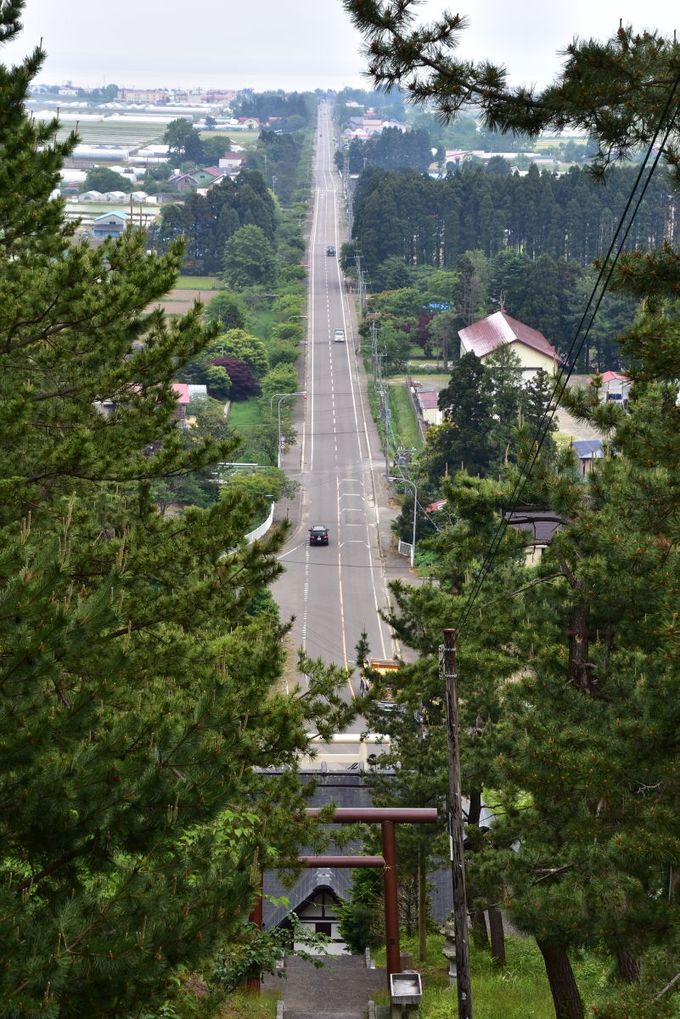 �d���W�]�䂩��̑�p�m���}�͕K��