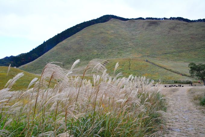 奈良 ススキの名所 曽爾高原 で山灯りと星空を満喫 奈良県 Lineトラベルjp 旅行ガイド