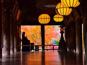 桜に牡丹に紅葉！奈良・花の御寺「長谷寺」で四季の風情を満喫
